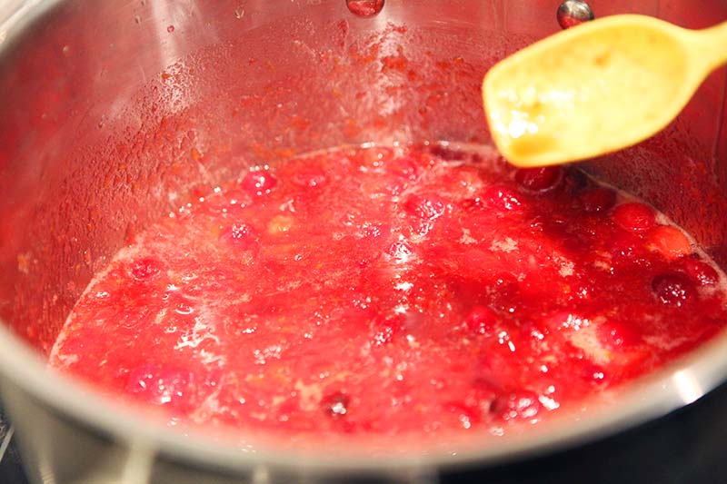 Organic super easy cranberry sauce - only 3 ingredients - paleo